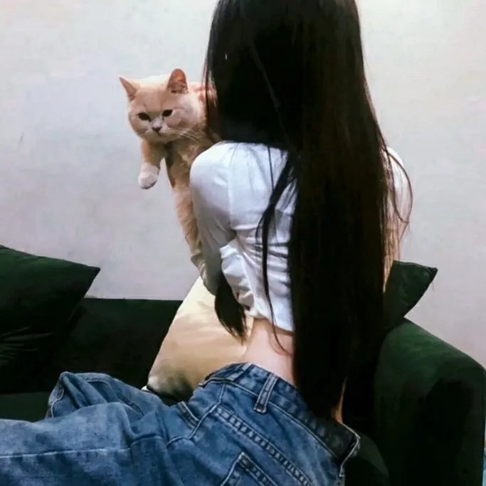 我的陌生父亲 封面