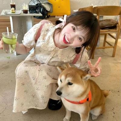 修饰 封面