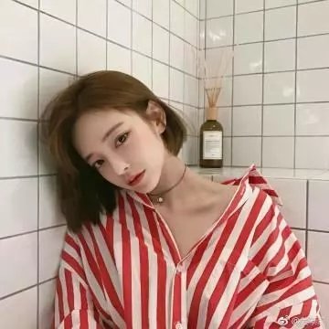 生存法则 封面